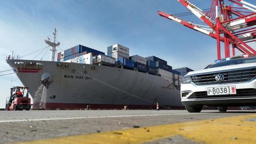 春节临近，上海边检助力民生物资快速抵沪，保障国际船舶管理业务高效运转