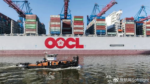 营收87.7亿美元创纪录 这家船司2025全年业绩深度解析与国际船舶管理业务展望